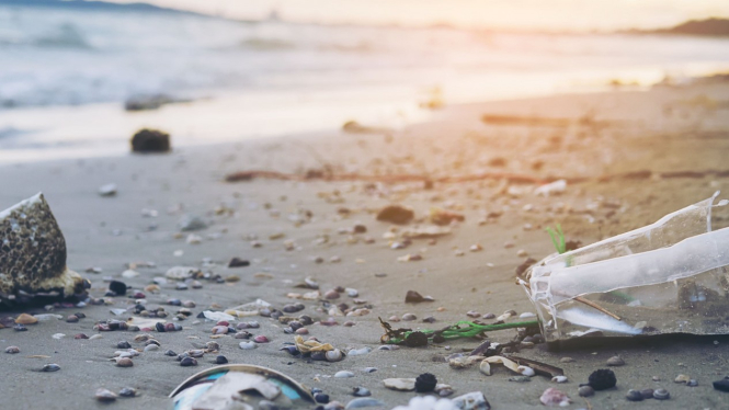 Dua Sisi Sampah Plastik, Ramah Kantong tapi Tidak untuk Kesehatan
