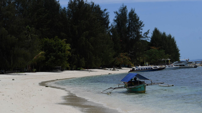 6 Kegiatan Seru yang Bisa Dilakukan di Morotai, Termasuk Berenang dengan Hiu Sirip Hitam