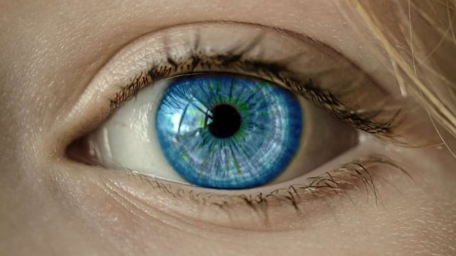 Ancaman Kebutaan Mengintai! 111,8 Juta Penduduk Indonesia Berisiko Glaukoma di Tahun 2040