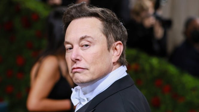 Elon Musk Jangan PHP Indonesia Lagi