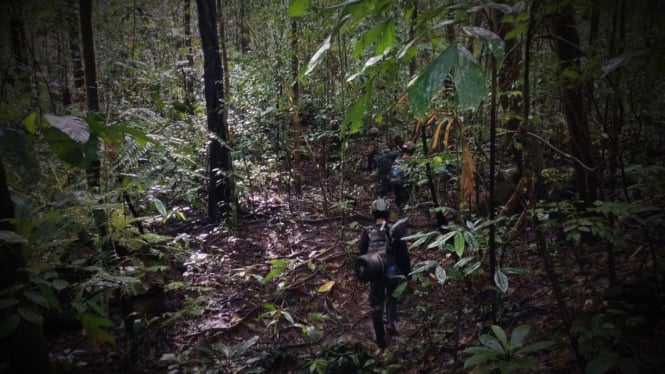 Bentrok Senjata Pecah di Hutan Aifat, Pasukan Yudha Sakti TNI Kuasai Markas OPM