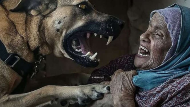 Biadab! Beredar Video Seekor Anjing Serang Nenek di Palestina, Rupanya Kiriman Zionis Israel