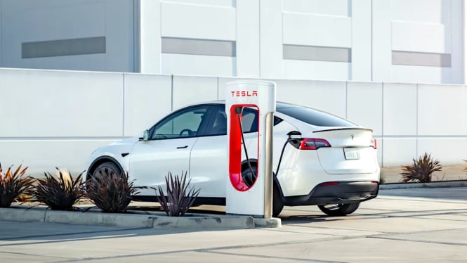 Elon Musk Tersenyum Lebar, Mobil Listrik China Siap-siap Digusur Tesla