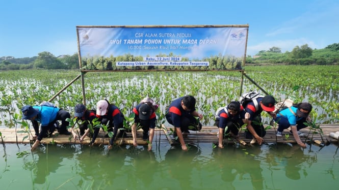 Hari Lingkungan Hidup, Pelajar Tangerang Tanam 3 Jenis Mangrove di Ketapang Urban Aquaculture