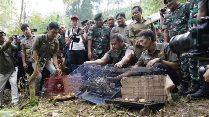 Ini Cara Jenderal Maruli Jaga Konservasi Alam di Daerah Latihan TNI AD Kaki Gunung Sanggabuana