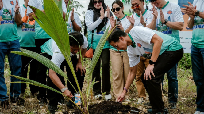 Sejuta Pohon Hijaukan Labuan Bajo: Komitmen Pemerintah Wujudkan Green Tourism