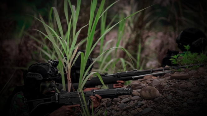 TNI Kerahkan Pasukan Black Baret Serigala Putih ke Zona Merah OPM Nduga