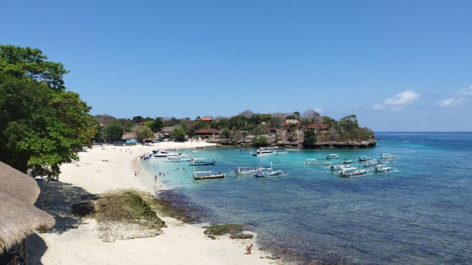 Indahnya Pesona Pontoon Bali Hai, Tawarkan Sensasi Berjalan di Bawah Laut