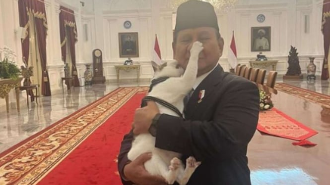 Prabowo Dicakar dan Digigit Kucing Peliharaannya, Nertizen: Cuma Bobby yang Berani Toyor Presiden