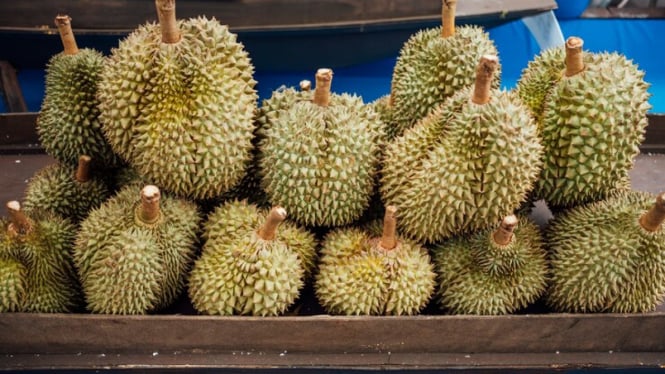 Jangan Hanya Ingat Aromanya, Kenali 4 Manfaat Durian Bagi Tubuh Anda!