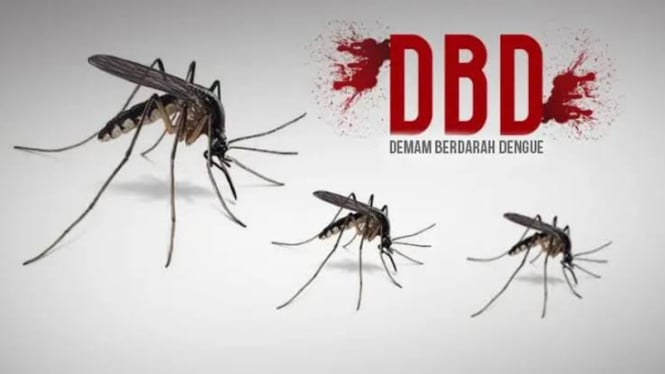 Musim Hujan Tiba Waspada DBD! Ini Usia yang Paling Rentan Terhadap Kematian Akibat Dengue