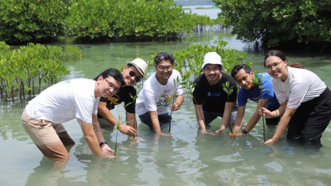 Pulau Harapan Makin Hijau dengan 7.000 Mangrove Baru