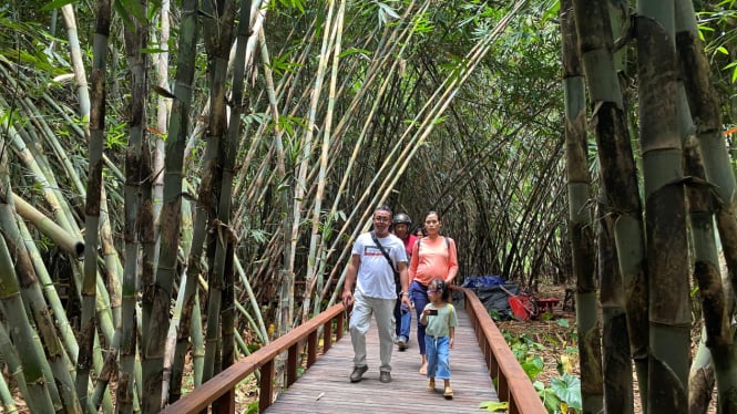 Sensasi Liburan Akhir Tahun di Jembatan Kayu Penghubung Desa Panglipuran dan Hutan Bambu