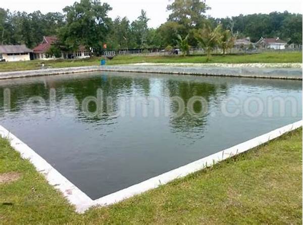 Tips Mengelola Kolam Lele Bersih