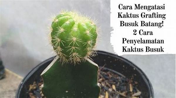 Cara Mengatasi Kaktus Busuk Akar