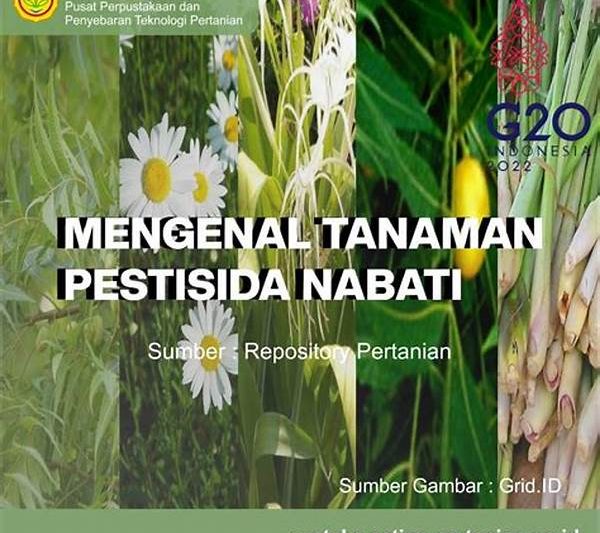Menggunakan Pestisida Nabati Tradisional