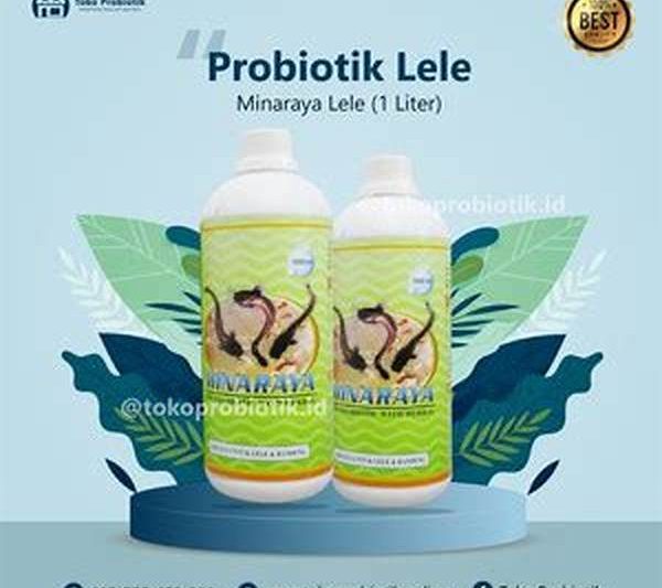 Probiotik Membantu Meningkatkan Ketahanan Lele