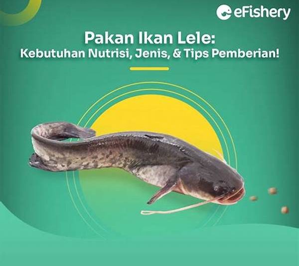 **strategi Optimasi Pakan Ikan Lele**